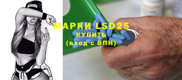 ПСИЛОЦИБИНОВЫЕ ГРИБЫ Алзамай