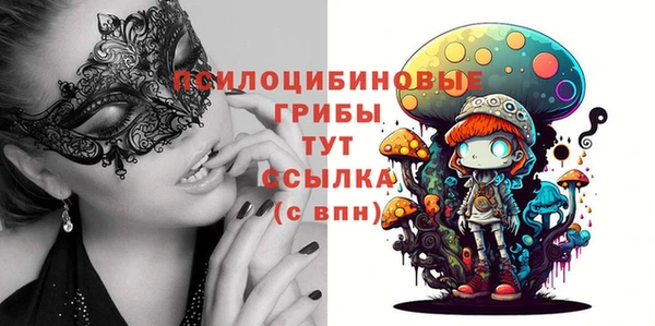 молекула духа Алексеевка