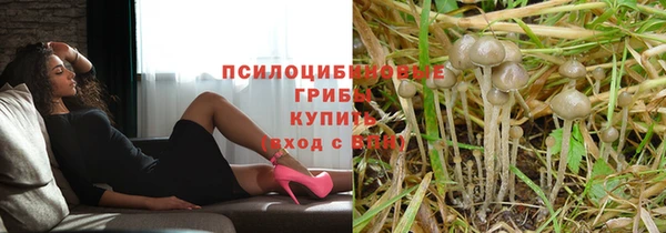 ПСИЛОЦИБИНОВЫЕ ГРИБЫ Алзамай