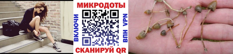 Псилоцибиновые грибы GOLDEN TEACHER  Енисейск 